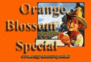 Orange Blossom Special Festival